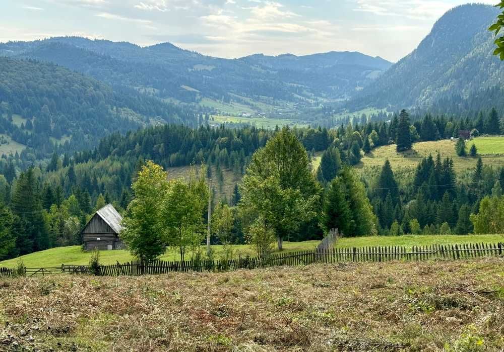 Teren la Munte, Cheile Bicazului, cu vedere panoramică