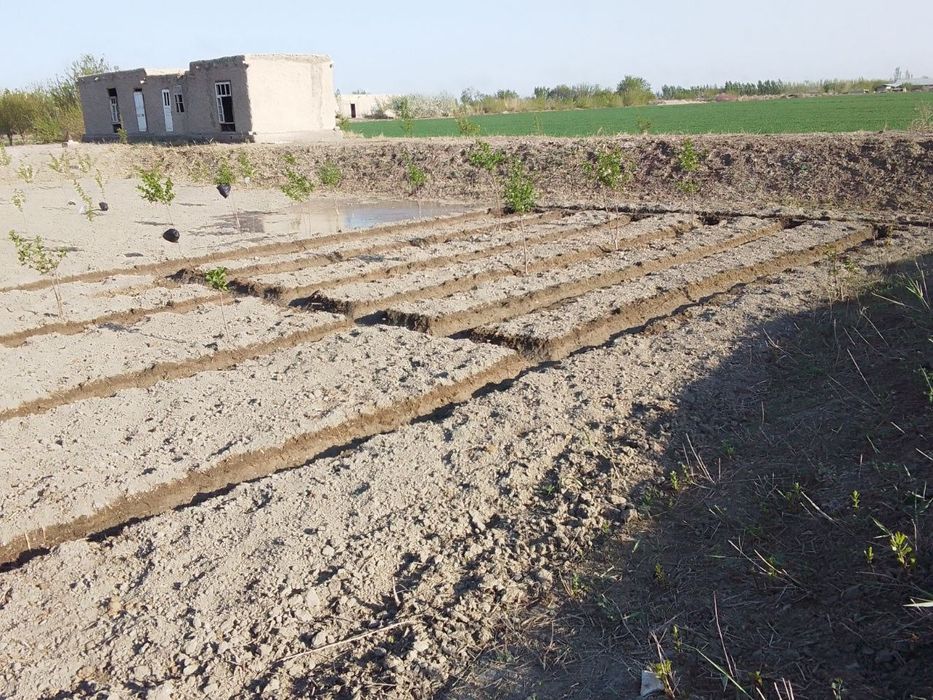 Yer uchastka sotiladi