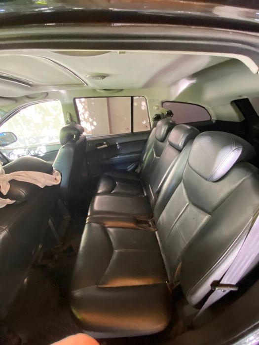 Санг йонг камерон.