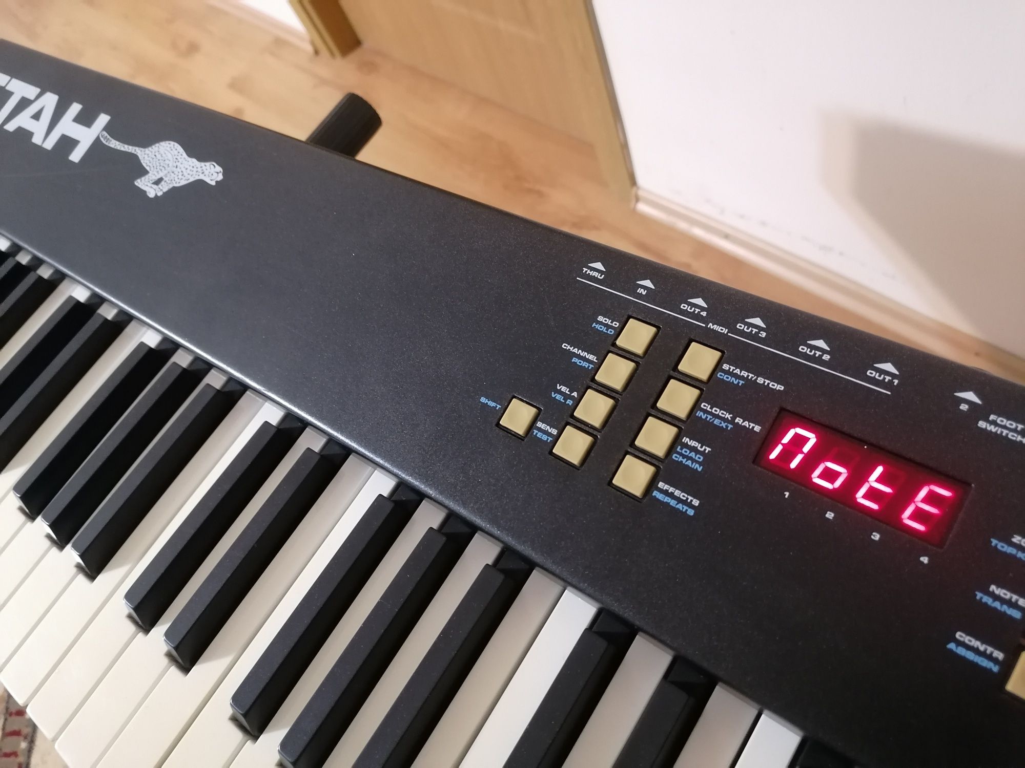 CHEETAH MASTERSERIES-770 sintetizator orga pian