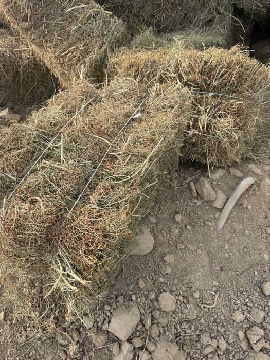 Жантак сатыладыы