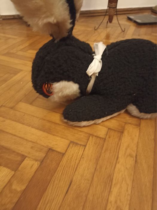 Jucarii epoca comunista