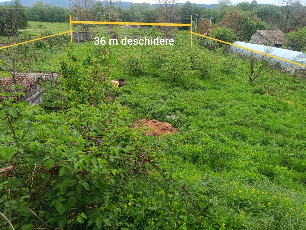 Teren intravilan 2400mp Tătărani Dâmbovița