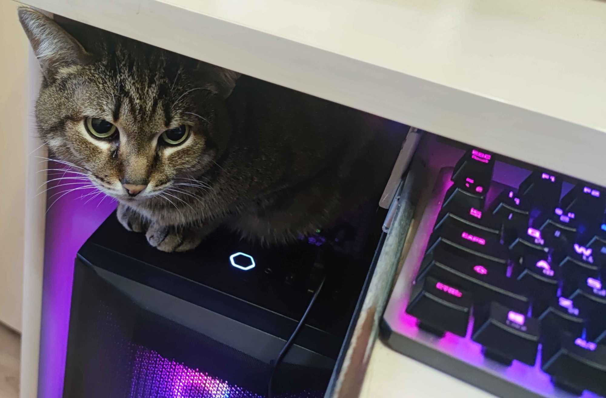 Игровой ПК | RTX 3090 | i7-10700KF / DDR4 OC 4266 MHz. CL16-17