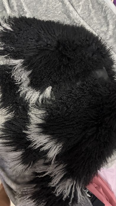 Blana oaie mongoleza