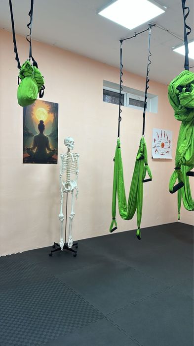 Продается скелет