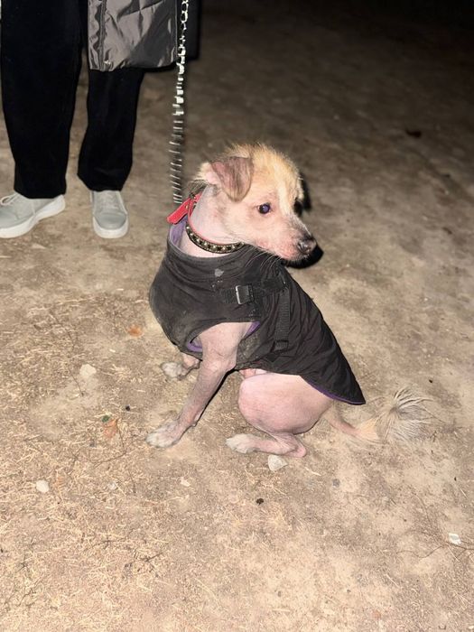 Отдаём в хорошие руки