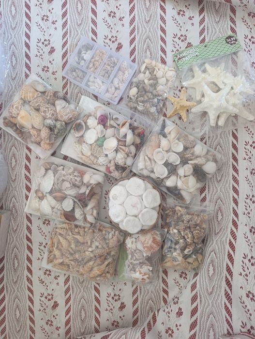 Maskit setka sifatli va arzon