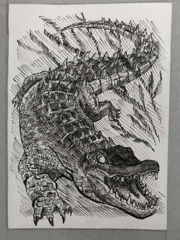 Рисую картины, не дорого