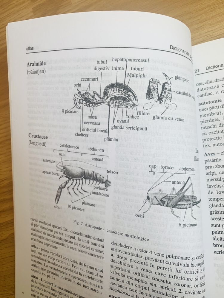 Dictionar nou biologie cu planse si ilustratii