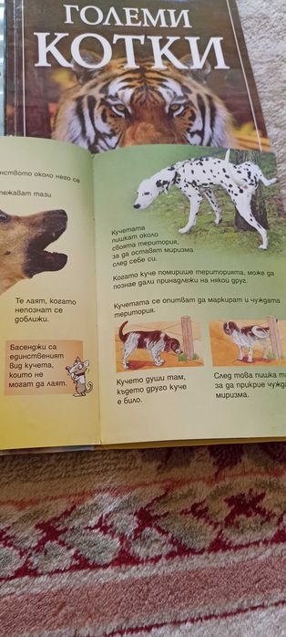 Книжки енциклопедии за деца
