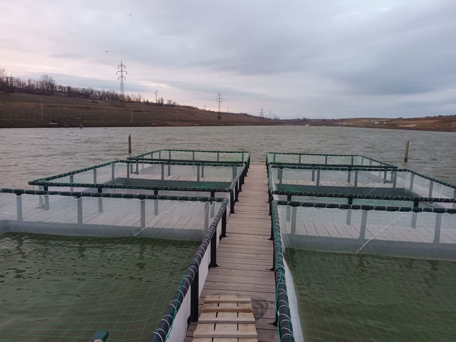 Viviere flotabile pentru creșterea peștelui