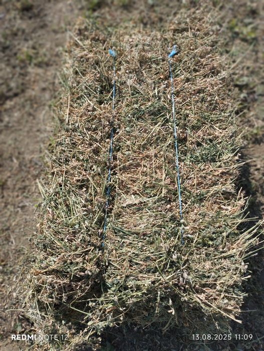 Vând baloți lucernă coasa 2-3-4