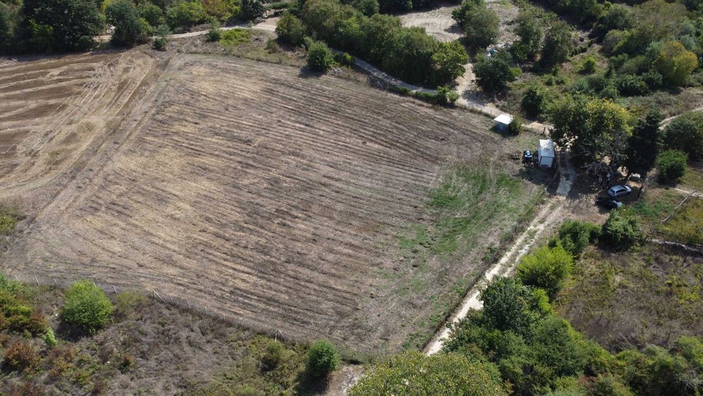 Дава се под наем Парцел в с. Кичево, Област Варна - 6000 кв.м за 204 € - Снимка #5