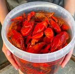Раки вареные,живые,креветки