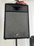 Boxe Peavey pentru petreceri restranse