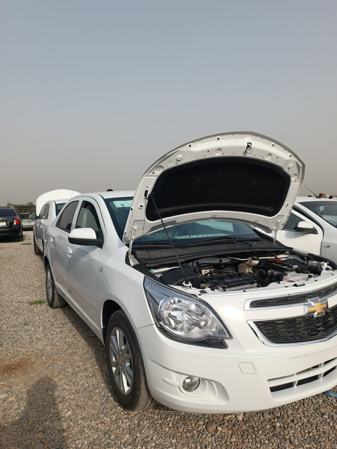 Cobalt 4pozitsiya
