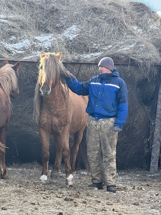 Жабагы оптом 30-40бас