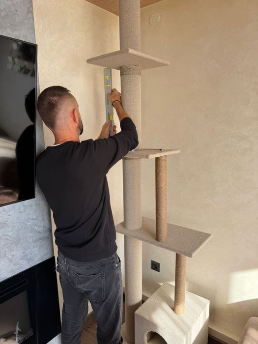 Луксозна котешка катерушка