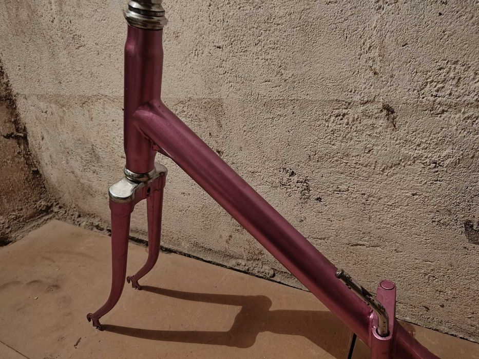 Cadru & pIese pentru bicicleta Pegas Kent Hoinar Practic Drumet Strada