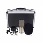 Behringer b1 microphone