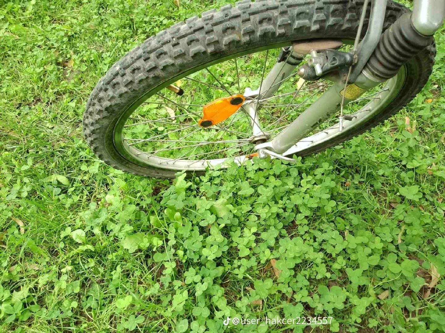 Велосипед Specialized