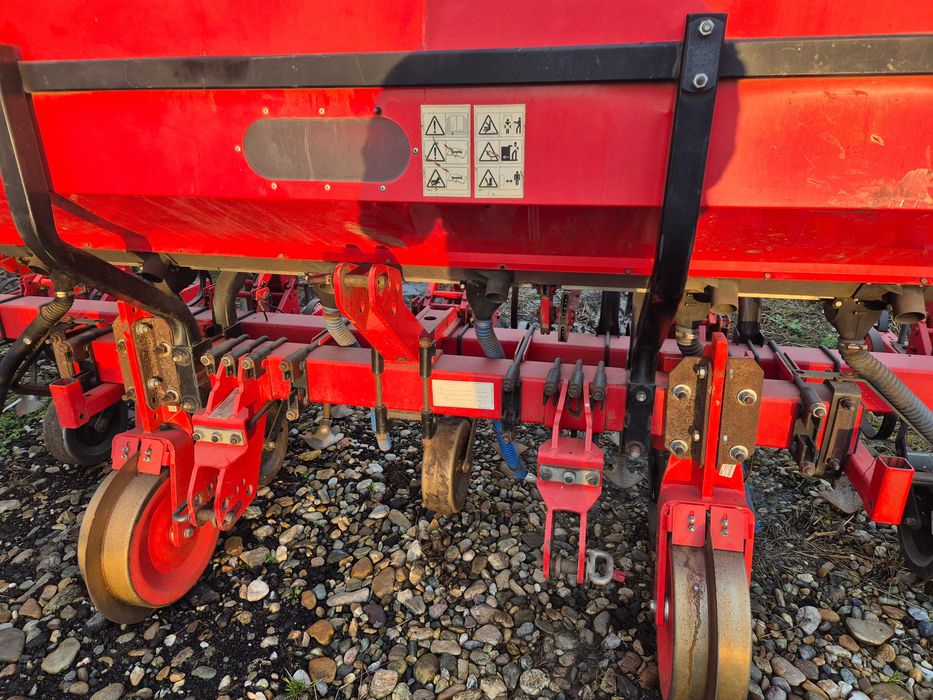 Prasitoare floare porumb