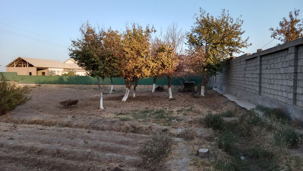 Termiz tumanida yer sotiladi kelishamiz