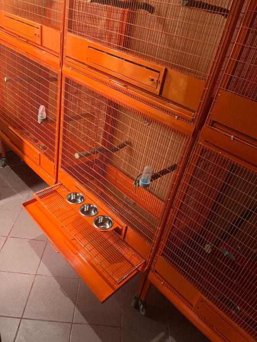 Colivii si cuiburi profesionale pentru papagali