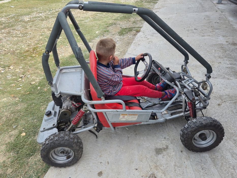 Buggy de vânzare