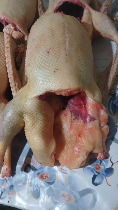 Продам гусей тушками