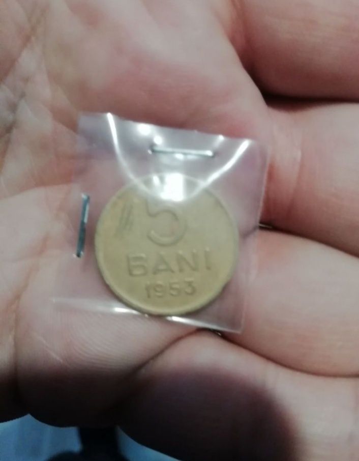 Moneda 5 bani 1953/1954