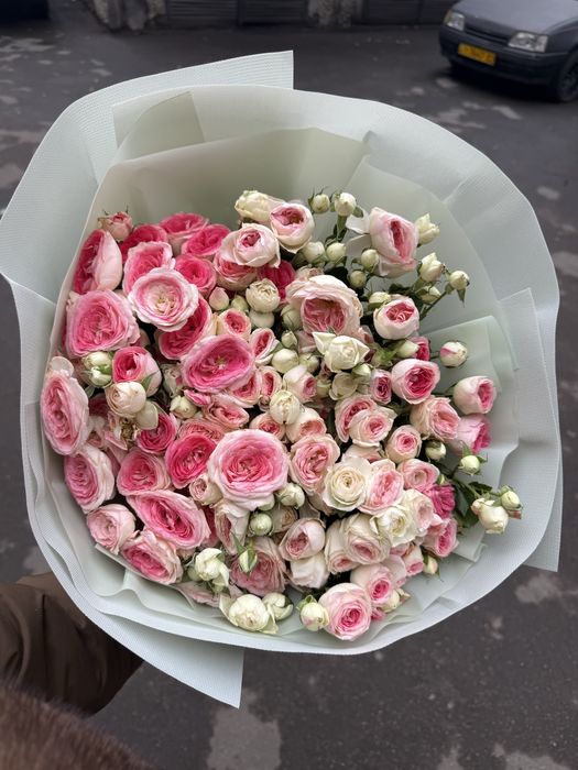 Цветы красивые нежные