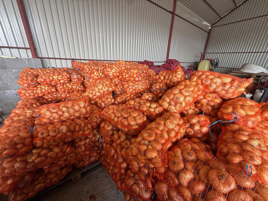 Ceapa galbena si rosie