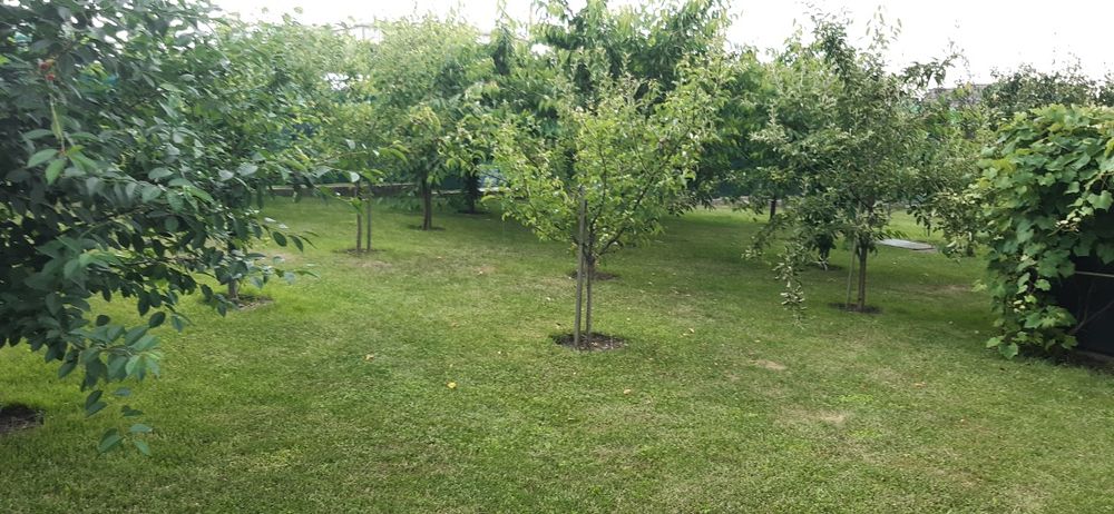 Vând casă falticeni