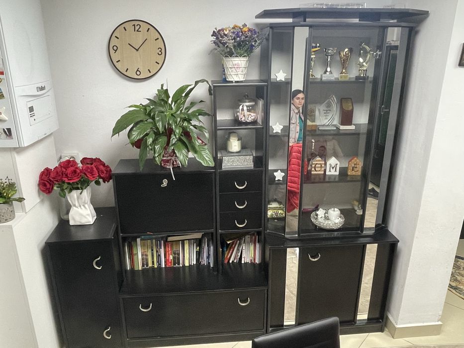 Set mobila , lemn negru