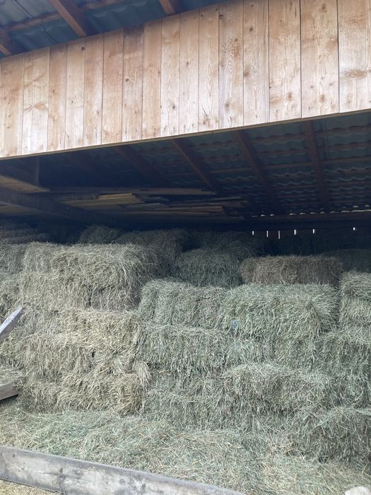 Baloti de fân si de otavā