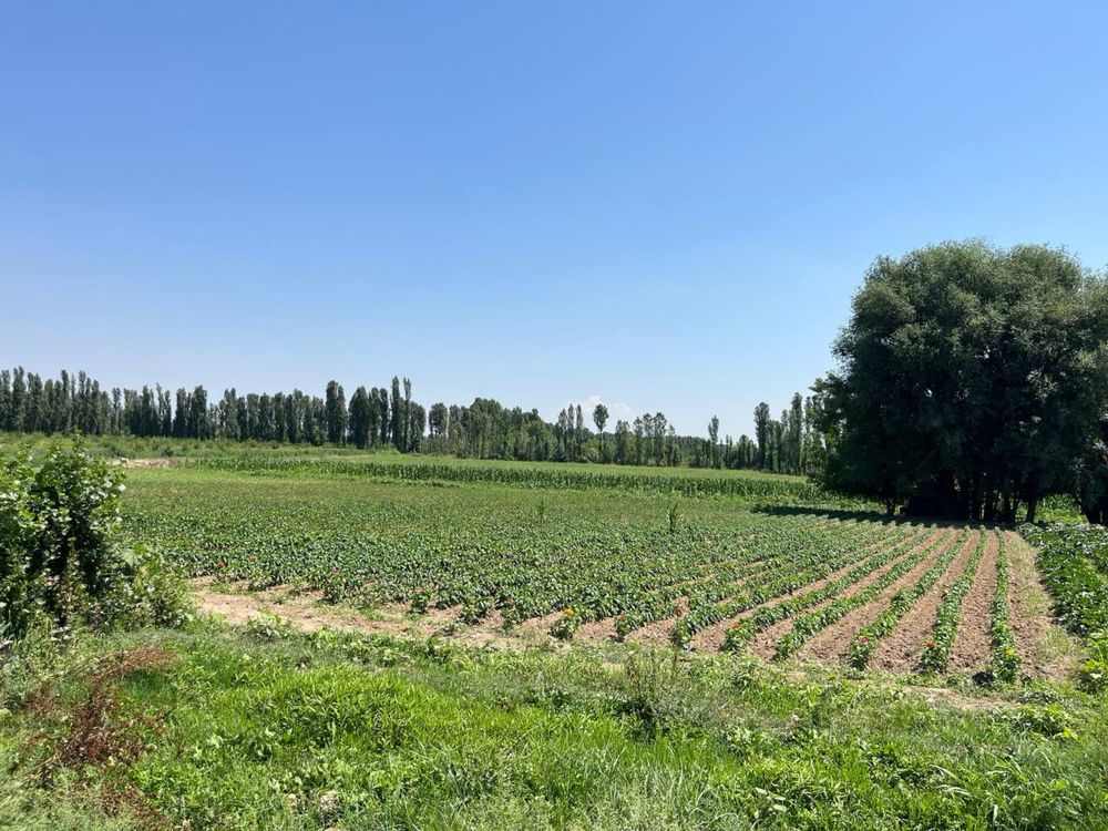 Yangiyo‘l tumani, Shuralisay mahallasi 3 gektar yer. B’ozsu kanal