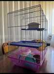 Cusca hamsteri cu accesorii