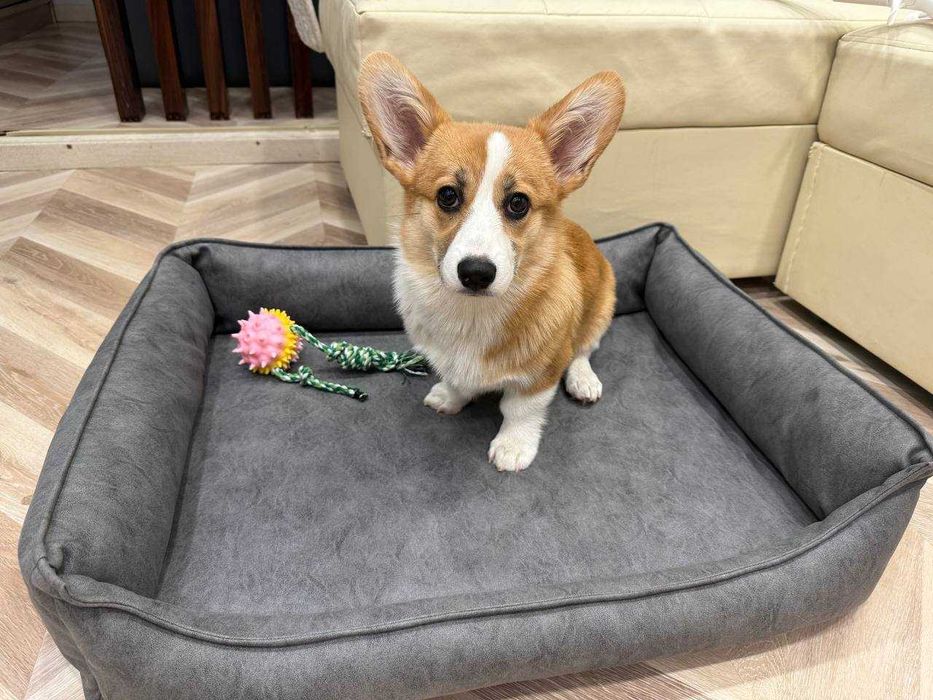 Лежанки для собачек 85 на 60 см .