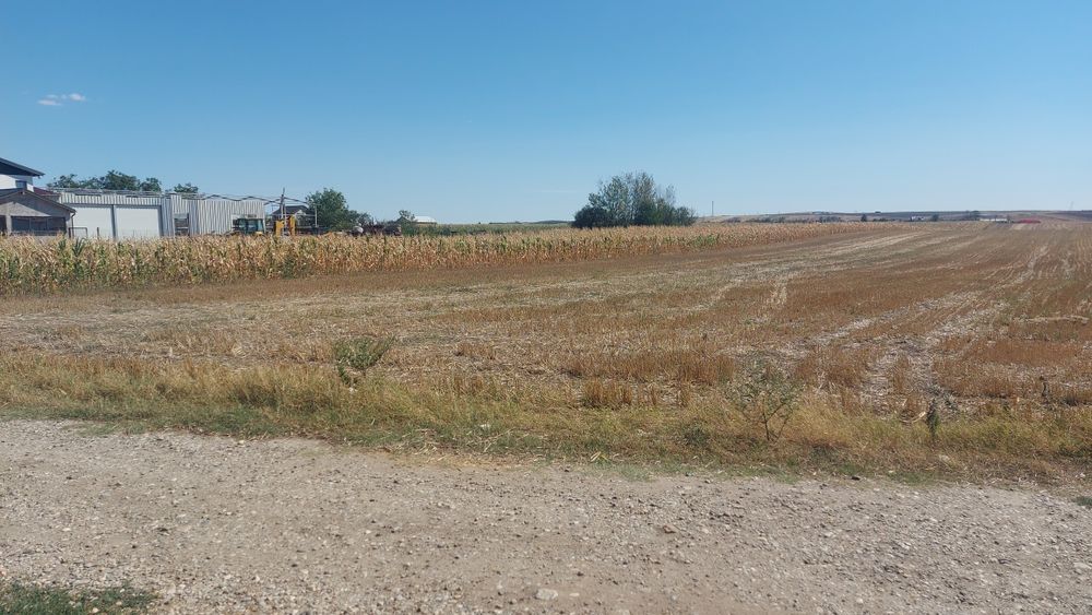 Balș ( Vârtina) - intravilan 359 mp + 4051 extravilan