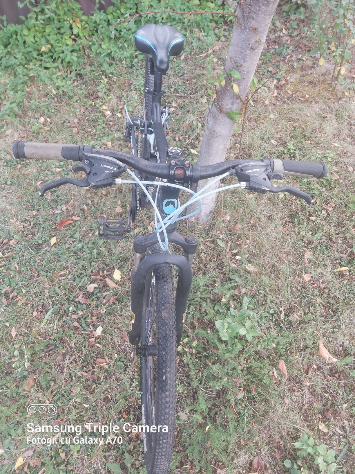 MTB Cross DXT 700 XC Range