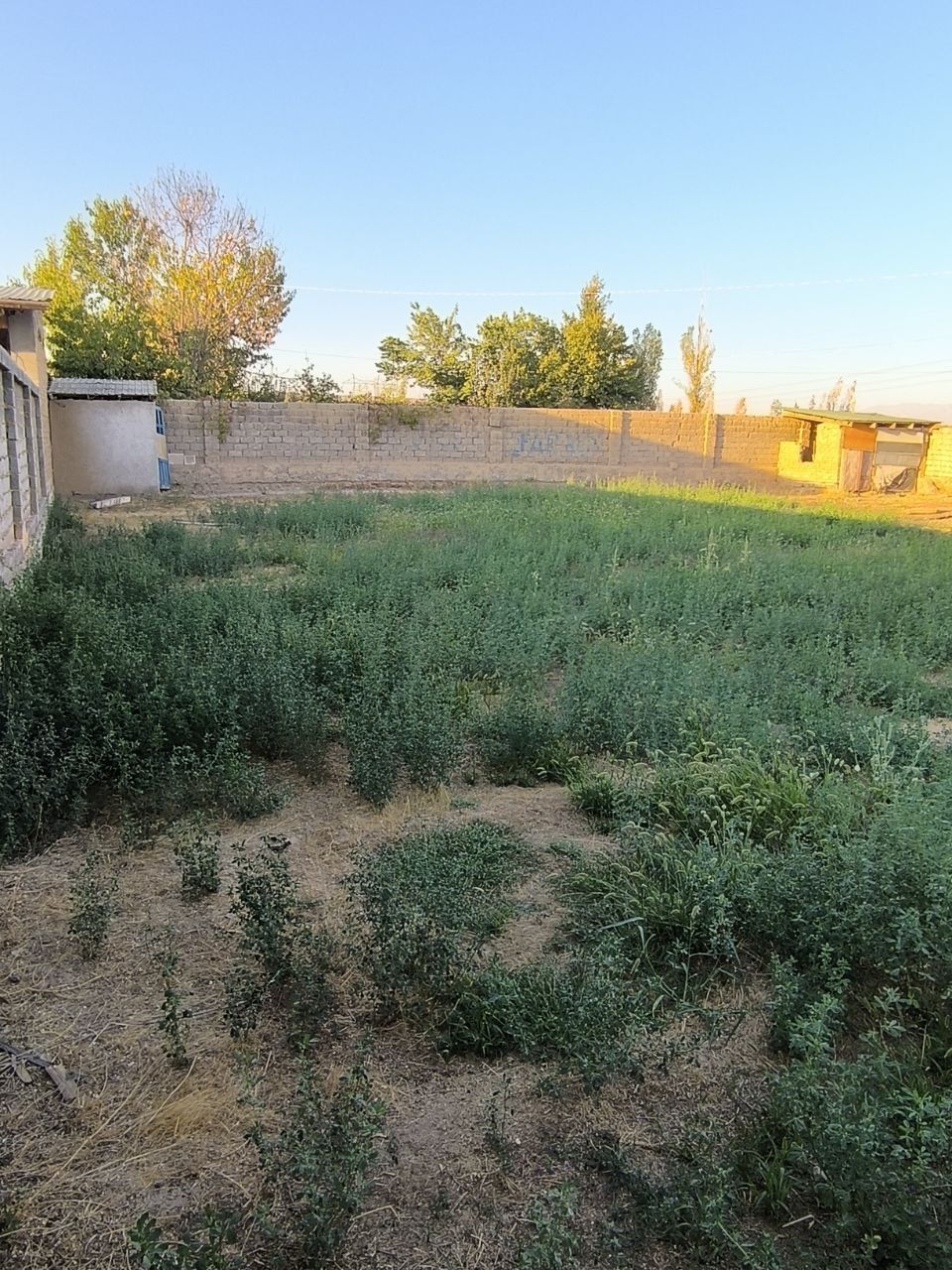 Shinam ,fayzli hovli
