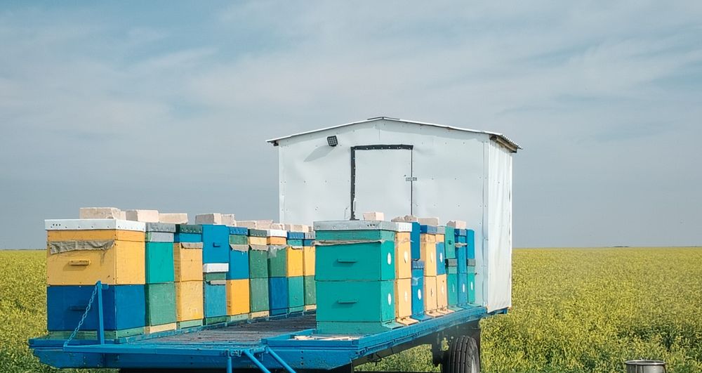 Пчелоприцеп. С ульями