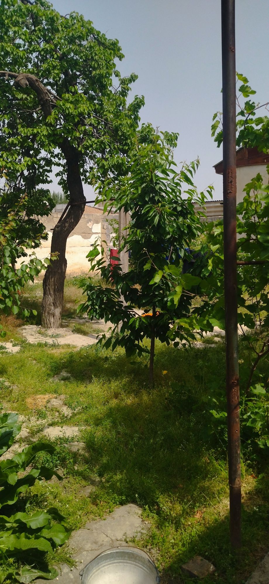 Бульвар!4,5-соток. Продаётся дом срочно.