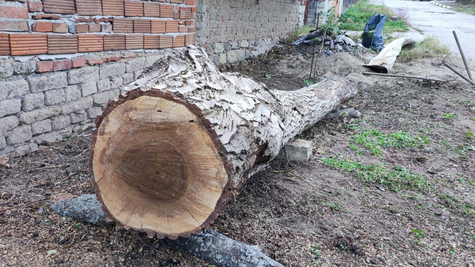 Продавам орехови трупи