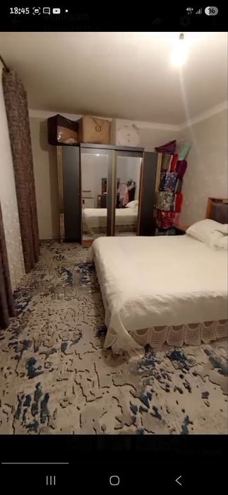 Zangi ota ziyoratgoxidan otganda tinchlikda