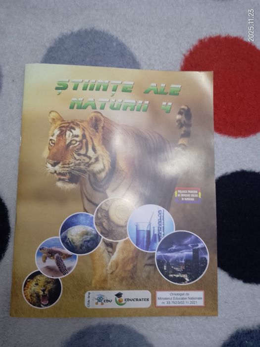 Clasa a 4 a lot 50 lei