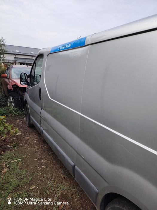 Autoutilitara Opel vivaro