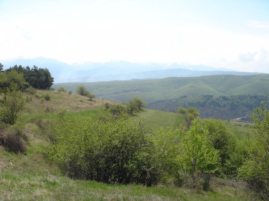 Продава се Парцел в с. Гуцал, Област София-област - 1803 кв.м за 14 €/кв.м - Снимка #3